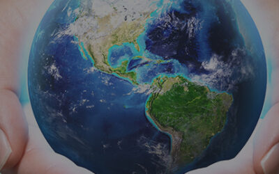 Turning the industry upside down